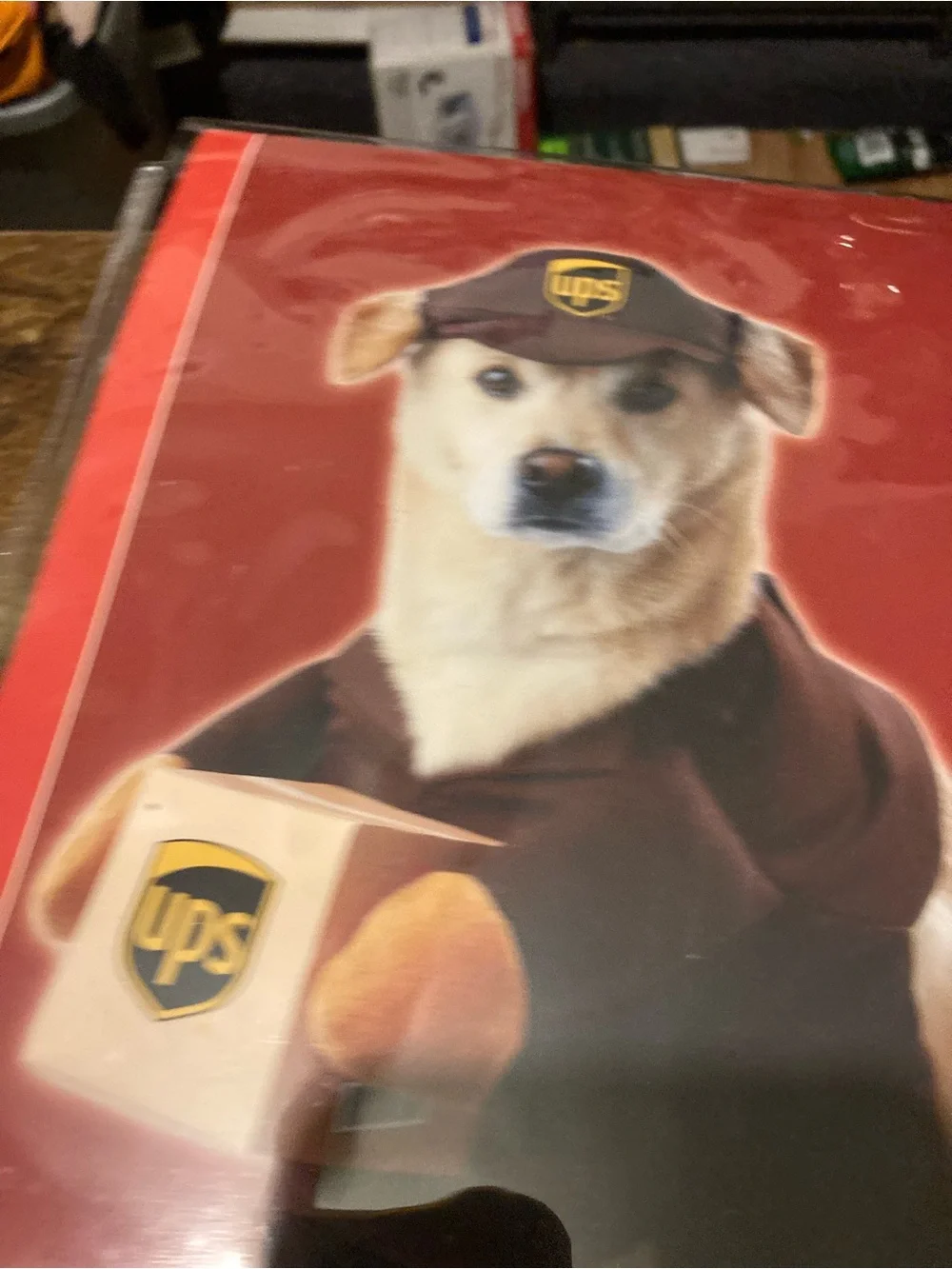 California Costumes UPS Pal dog costume